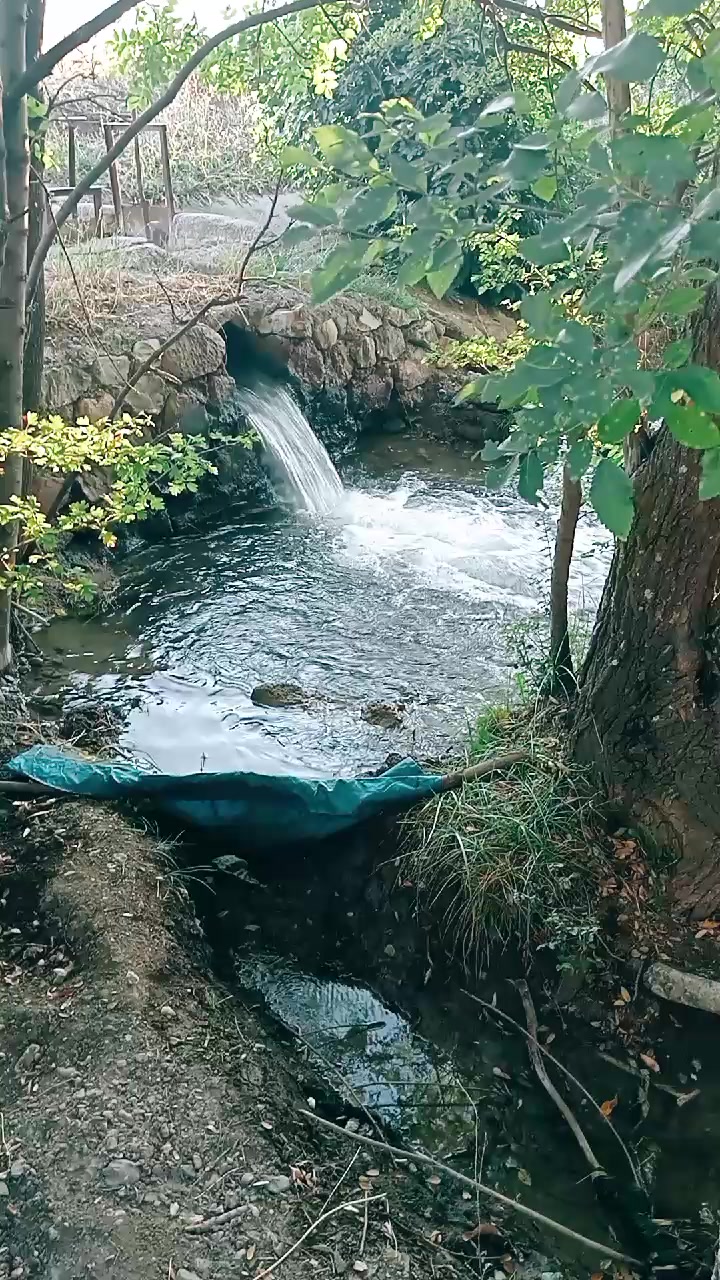 @Selçuk24🦅🦅🦅🌞🗻🏞️