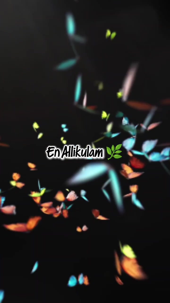 @𝗔𝗺𝗺𝘂 𝗖𝗿𝘂𝘀𝗵 🪐🌴💗