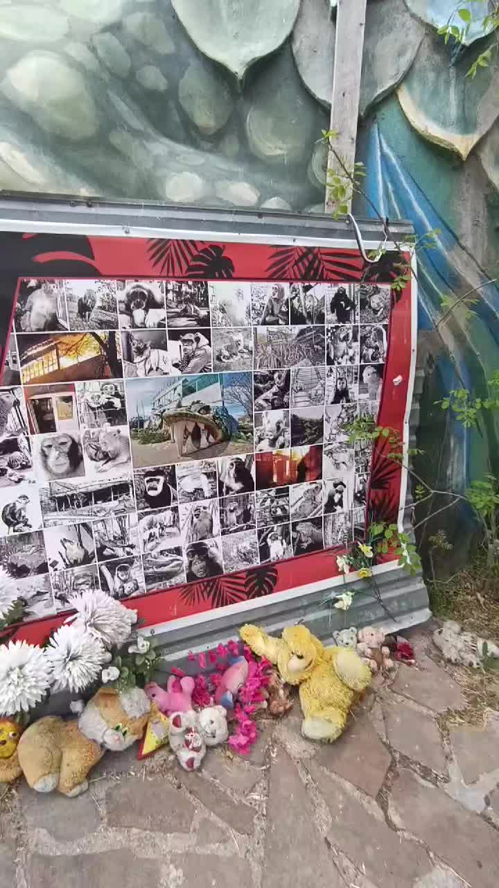 @Севастопольский чел