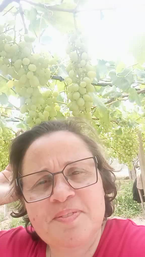 @marilenabiundo2