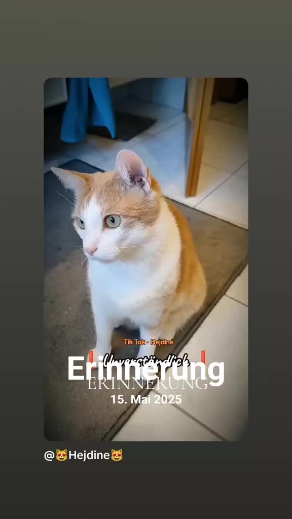 @🐾Wölfin🐾