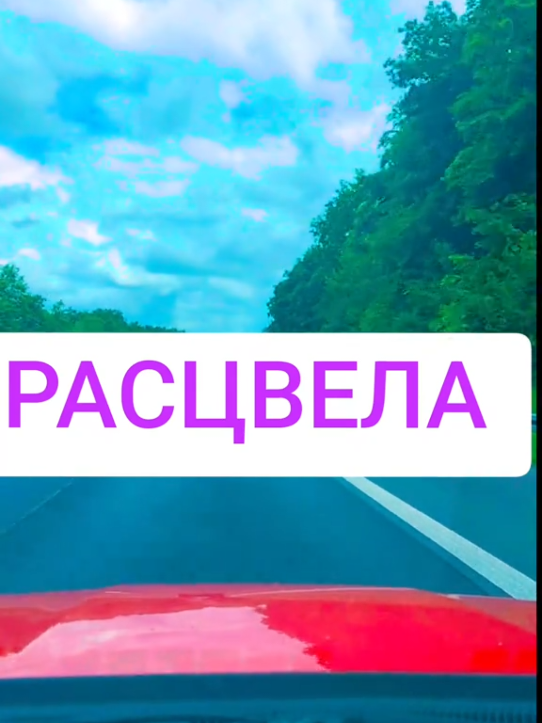 @Pantera