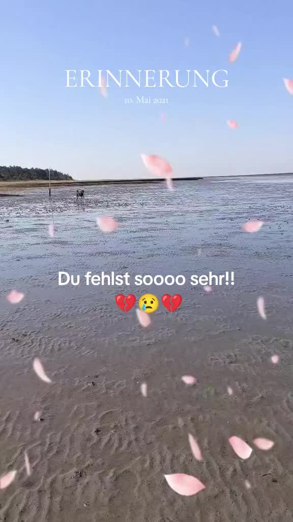 @Nicole