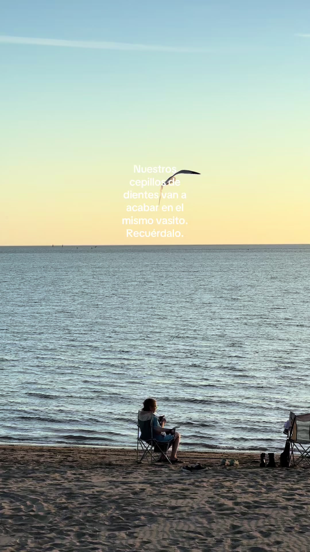 @𝙰L𝙴X𝙰