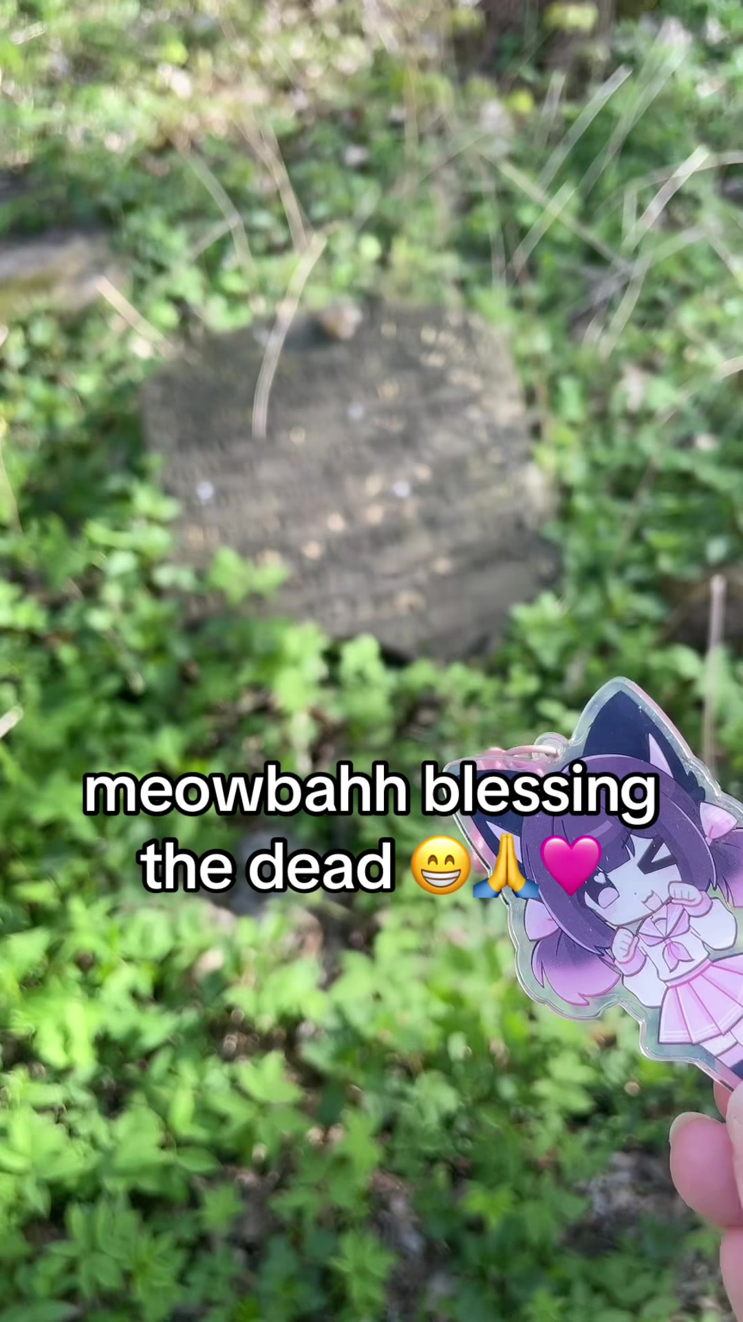@kawaiicat_girl🎀🪽