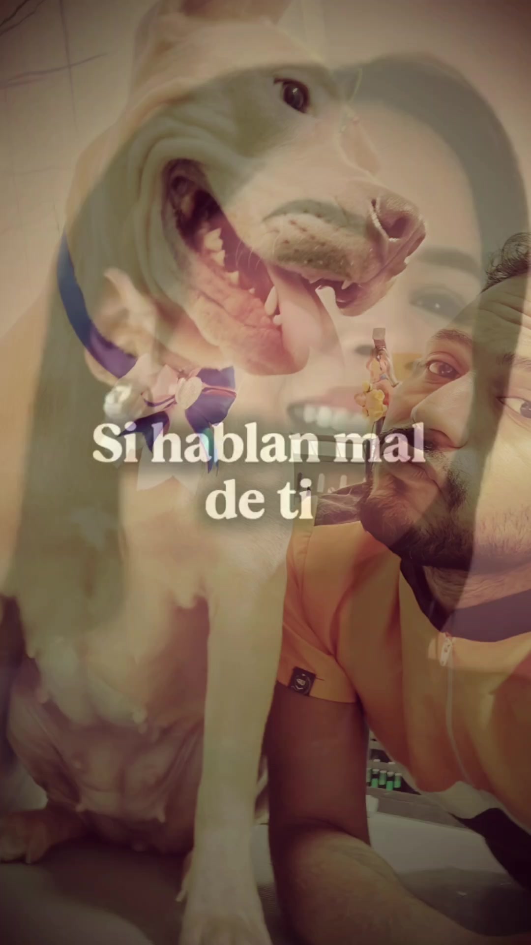@Juan J. / Revenge