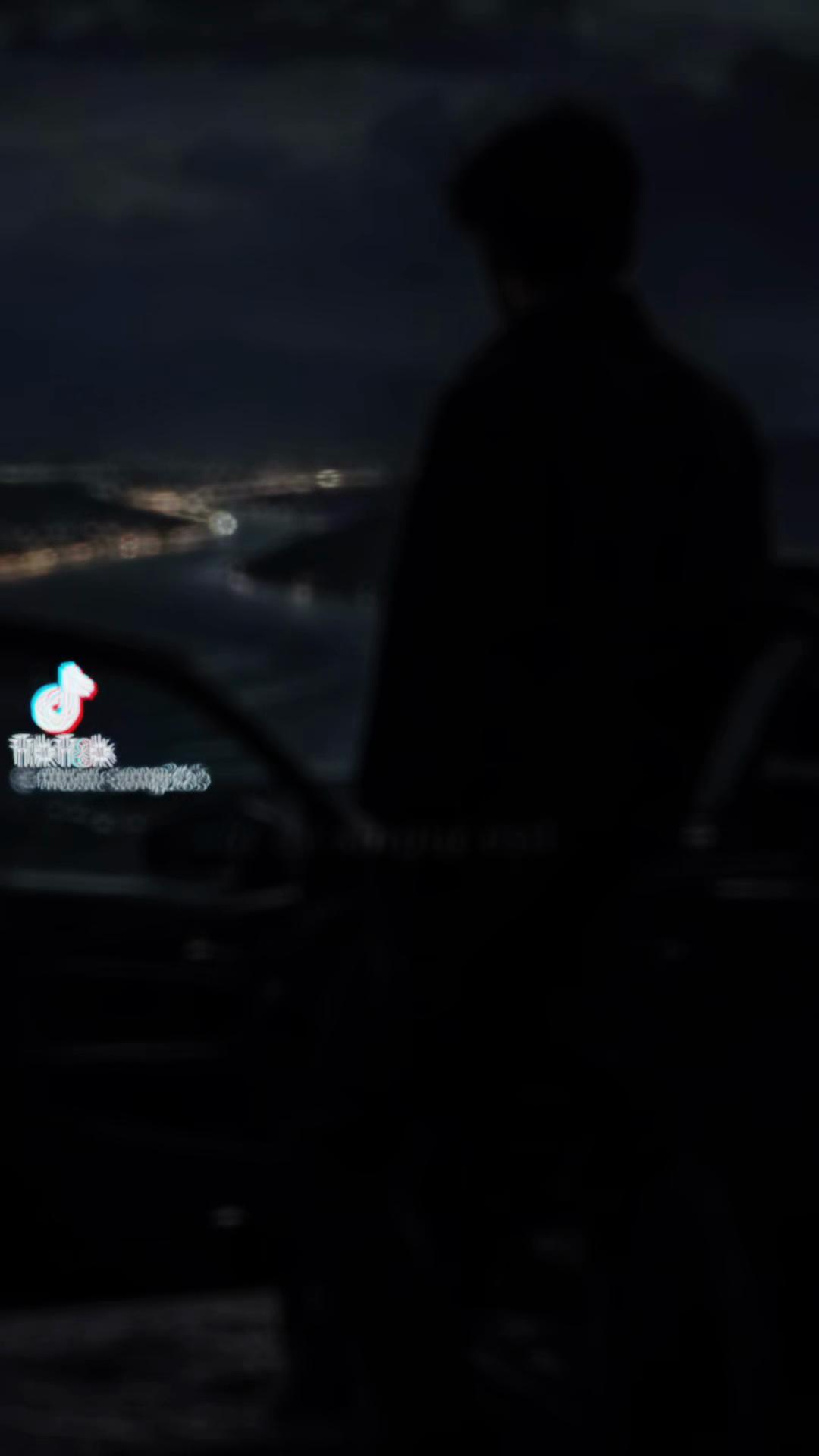 @Daniel Rusu2025