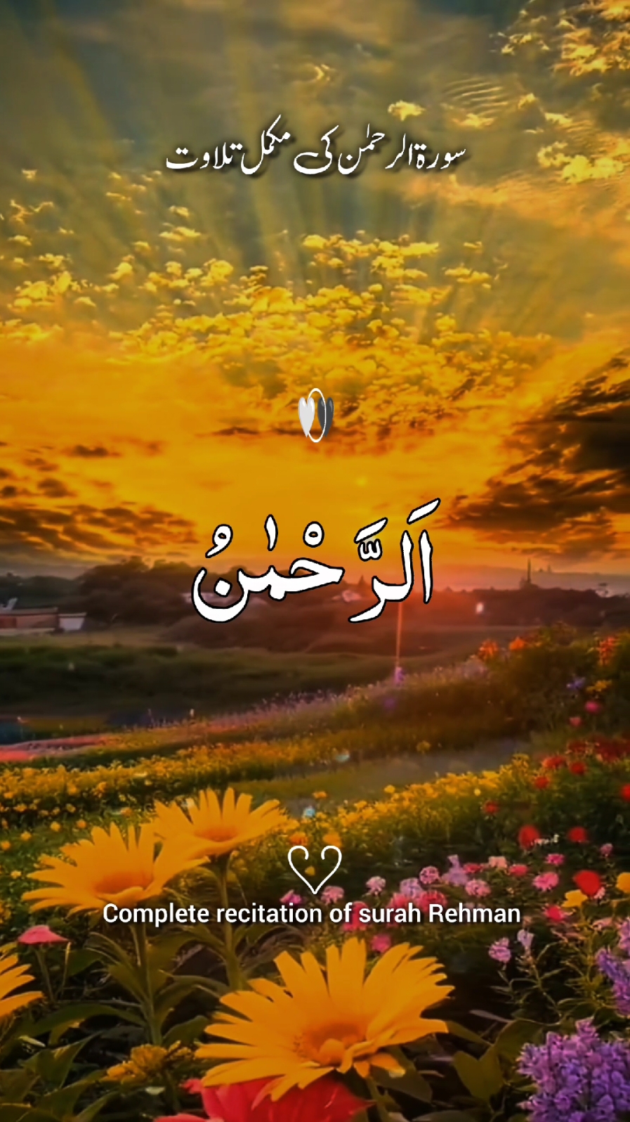 @❣️ Words of Allah ❣️