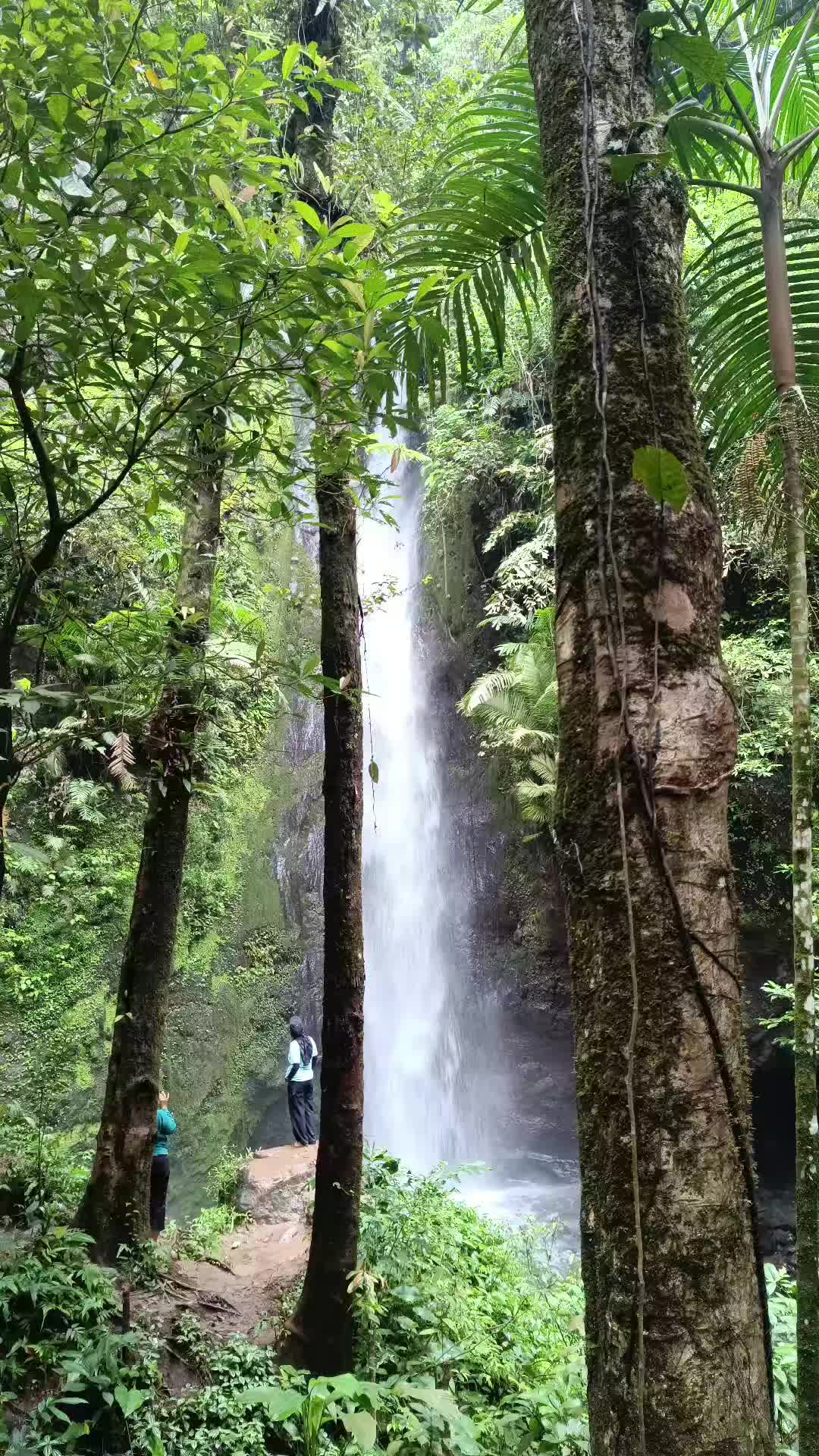 @Dedz_Atmj