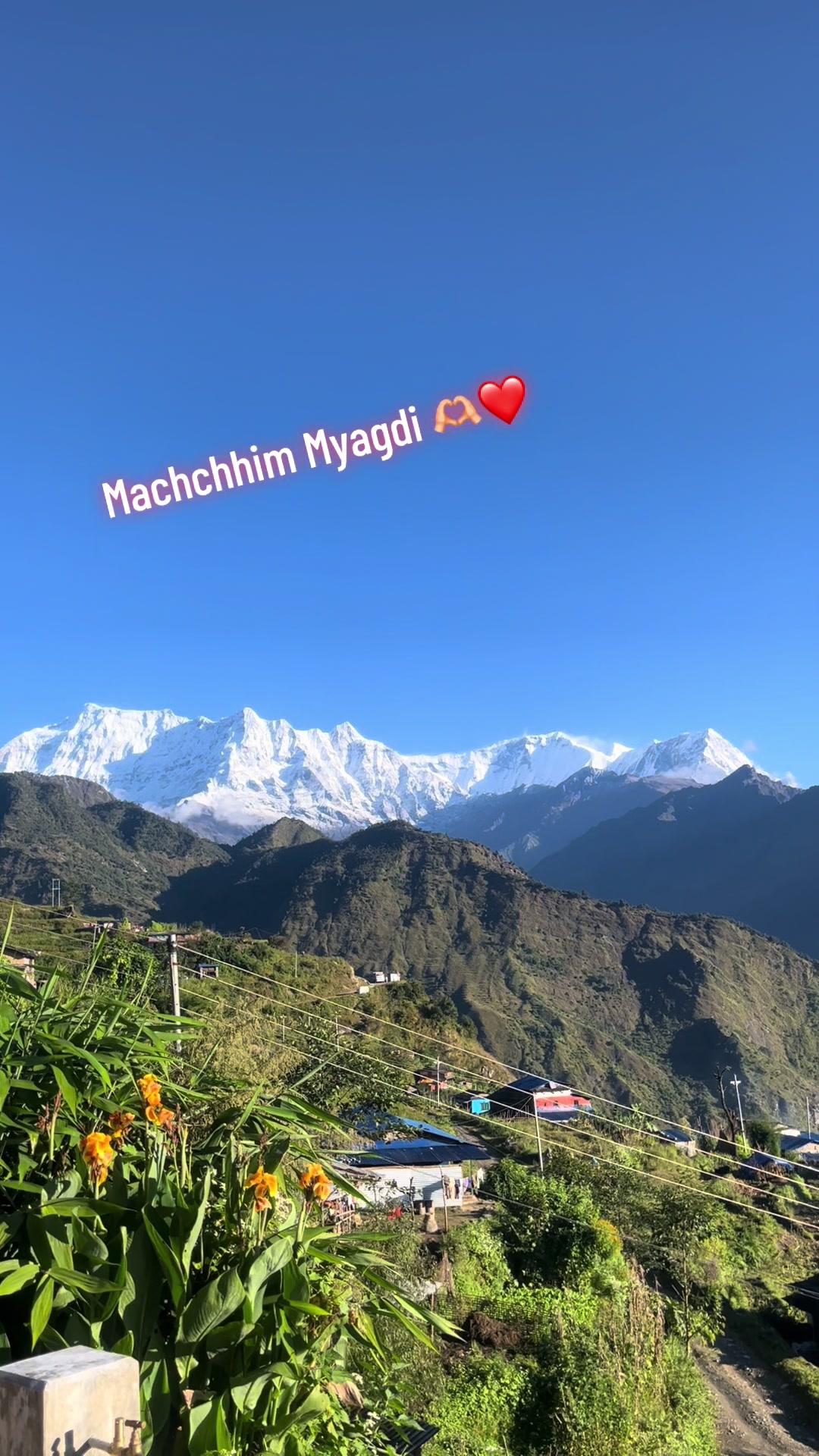 @Dolli Don❣️