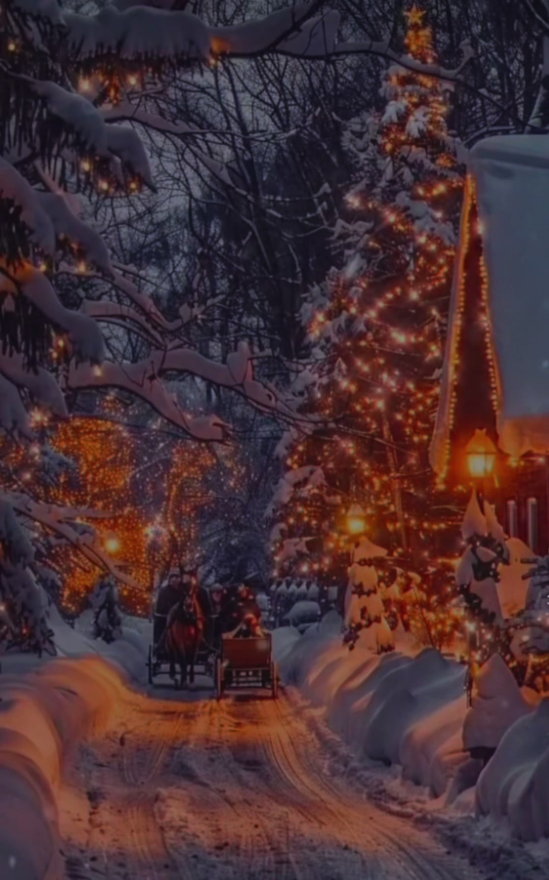 @christmas.tree65