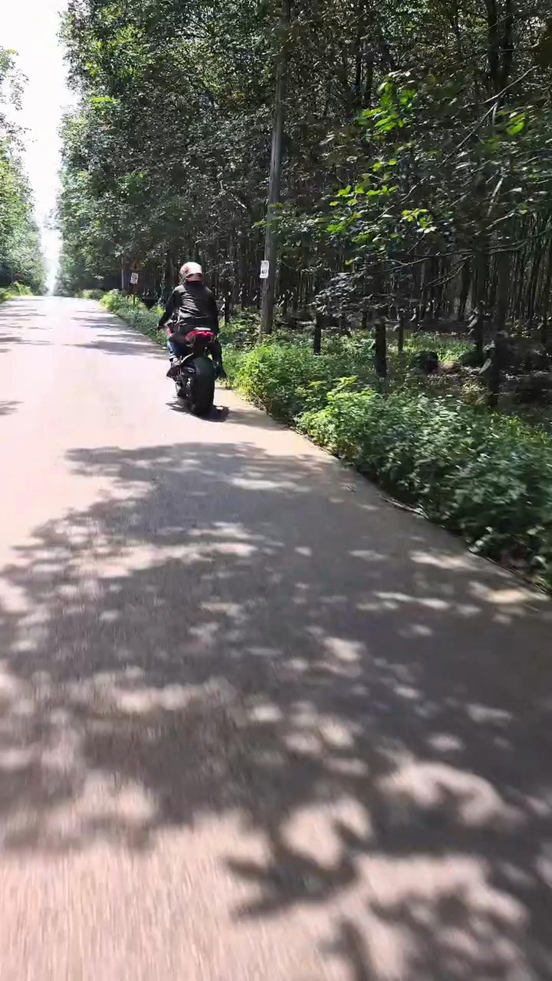 @L&ecirc; Trần Bảo Ngọc
