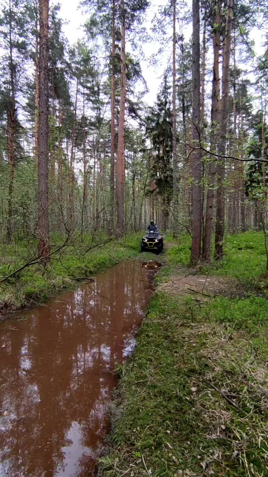 @Николай Гепардович