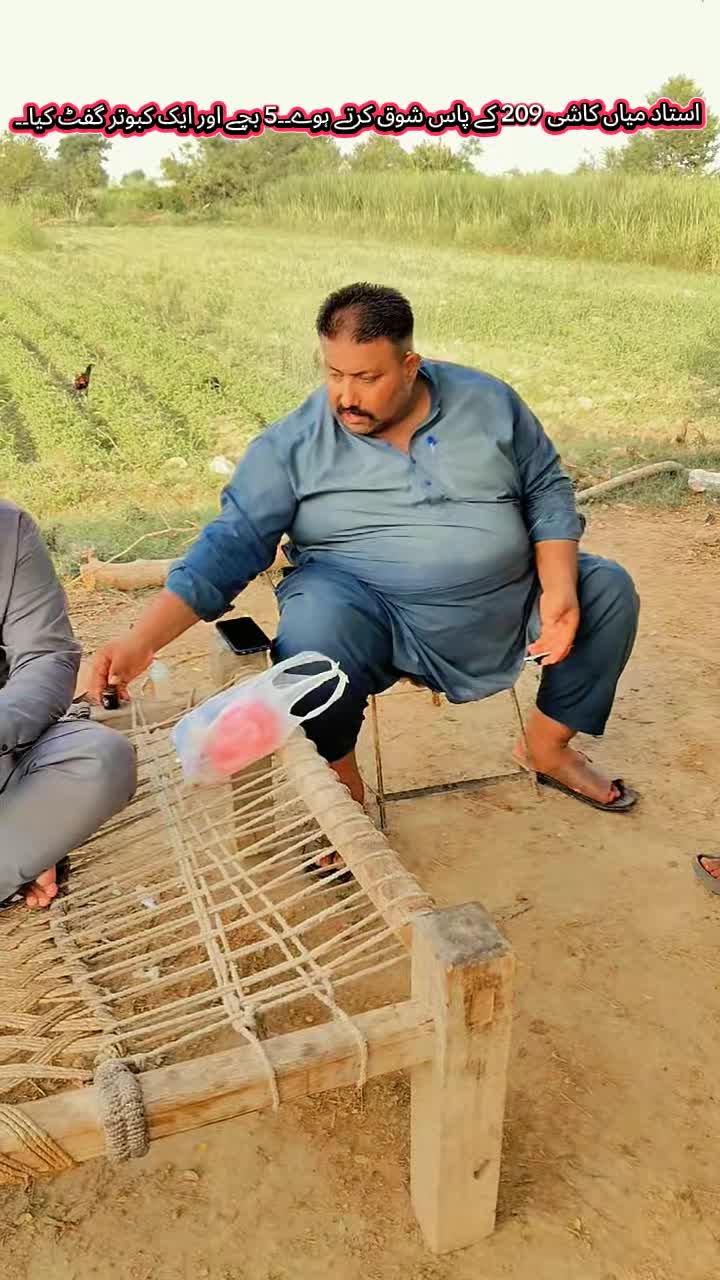 @پراچہ کبوتر کلب💪💪