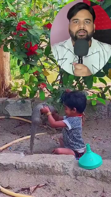 @Samsher Ansari
