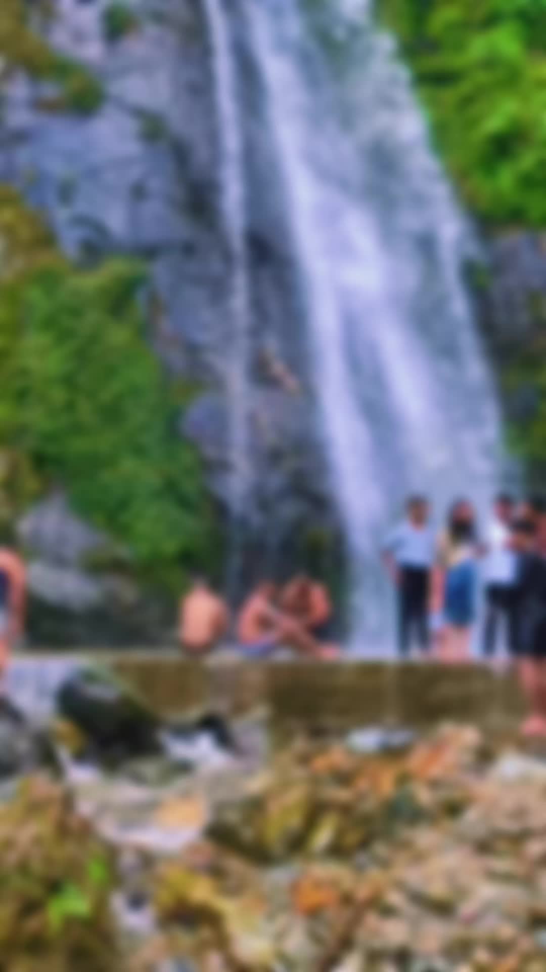 @Di Ne S H