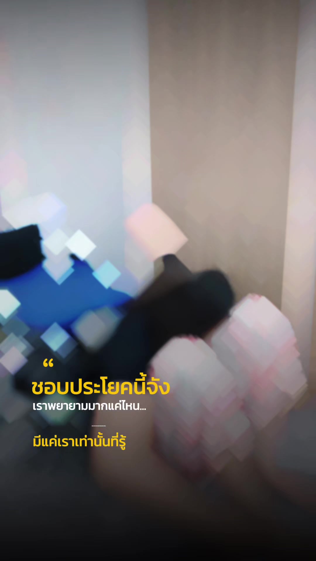 @เจ้าพลอย : Ploypatpa