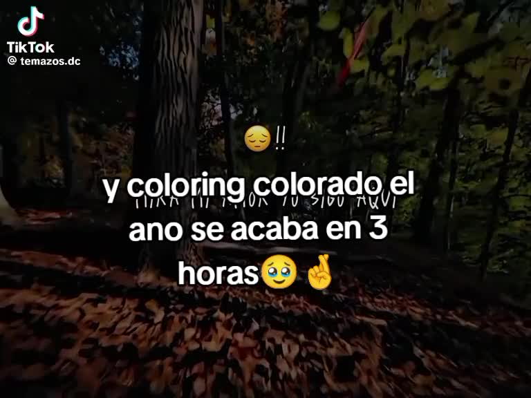 @Anyeli Maldonado