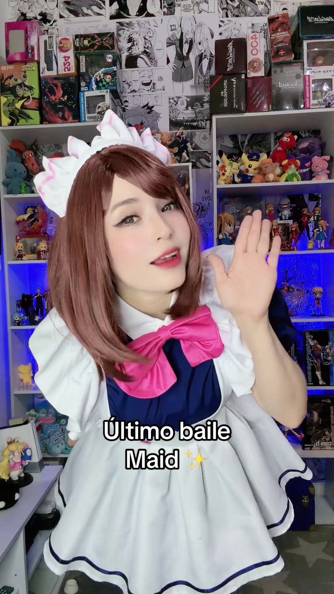 @faninirb