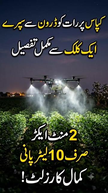 @Zulqarnain chattha