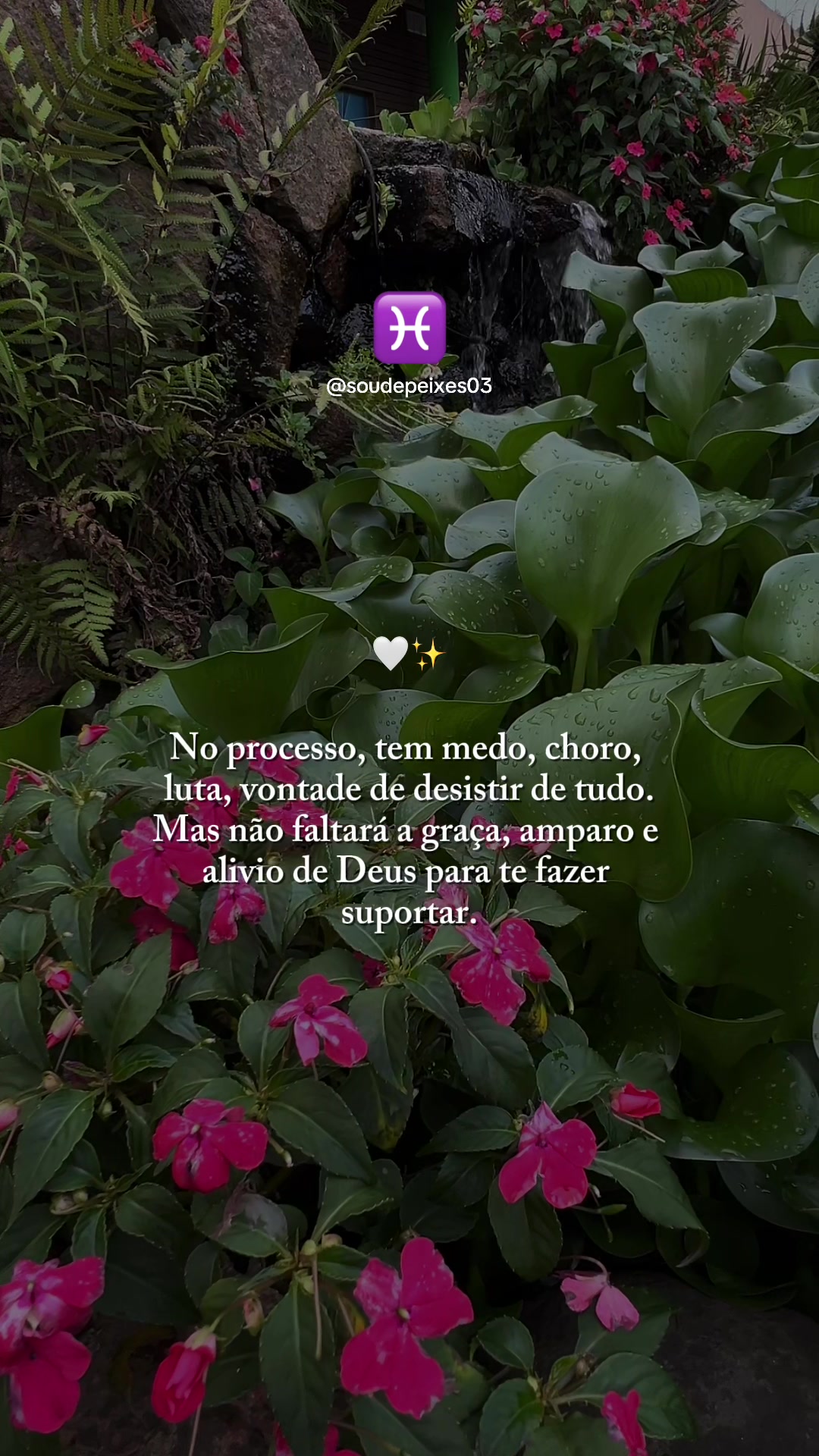 @soudepeixes