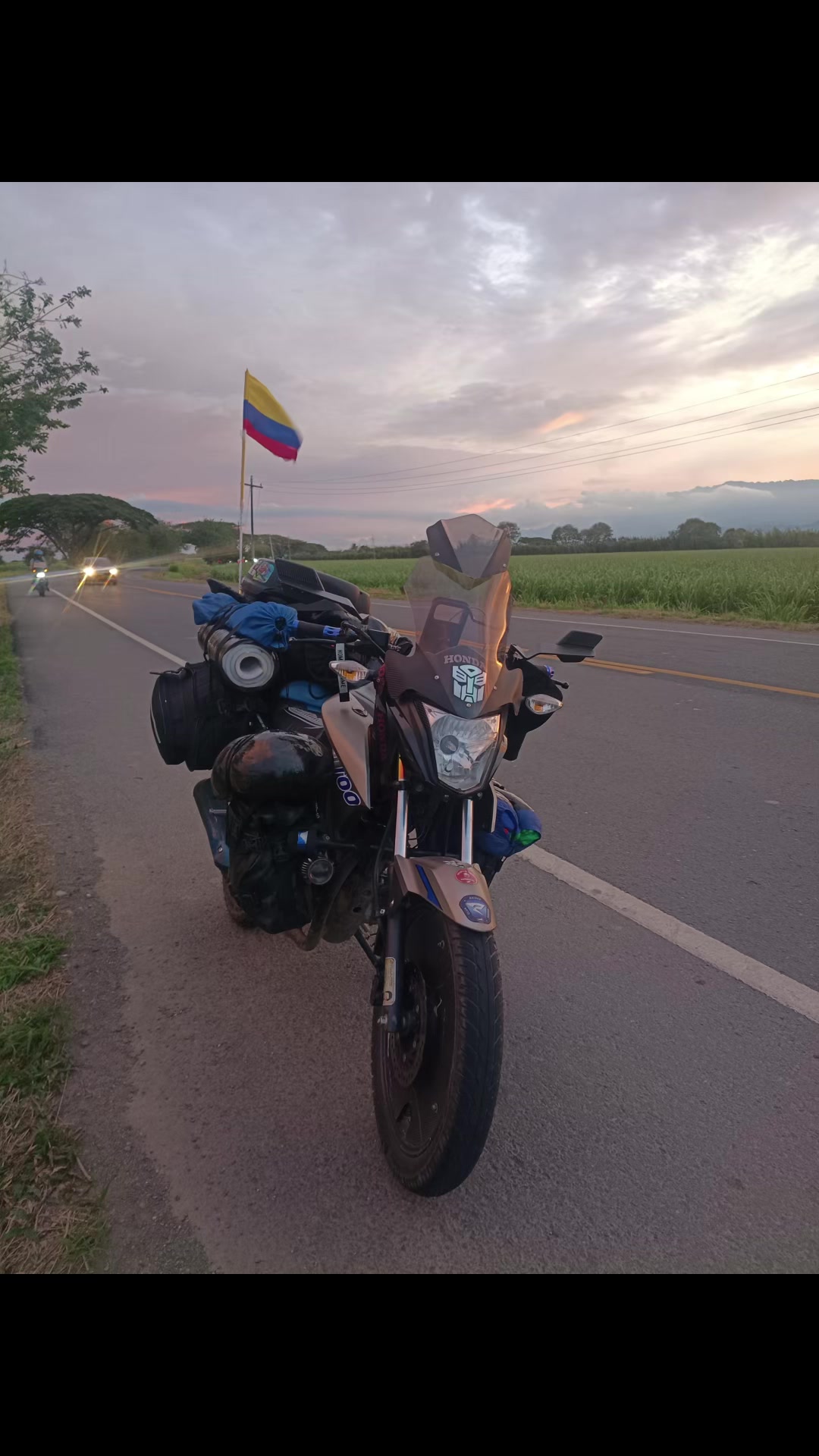 @bikerttattoo 🇨🇴bikerstich