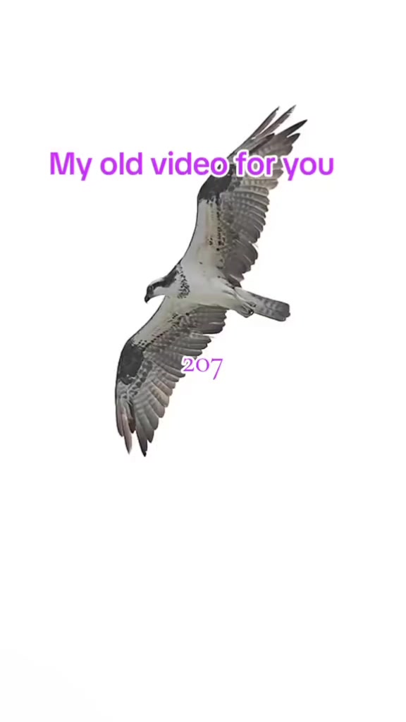 @🅣̣̣̣ 🅤̣̣̣ 🅜̣̣ 🅚̣̣ 🅞̣̣ 🅝̣