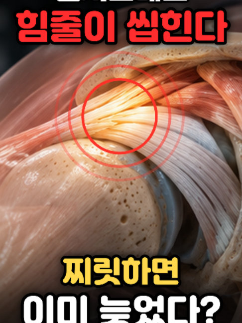@견우한의원