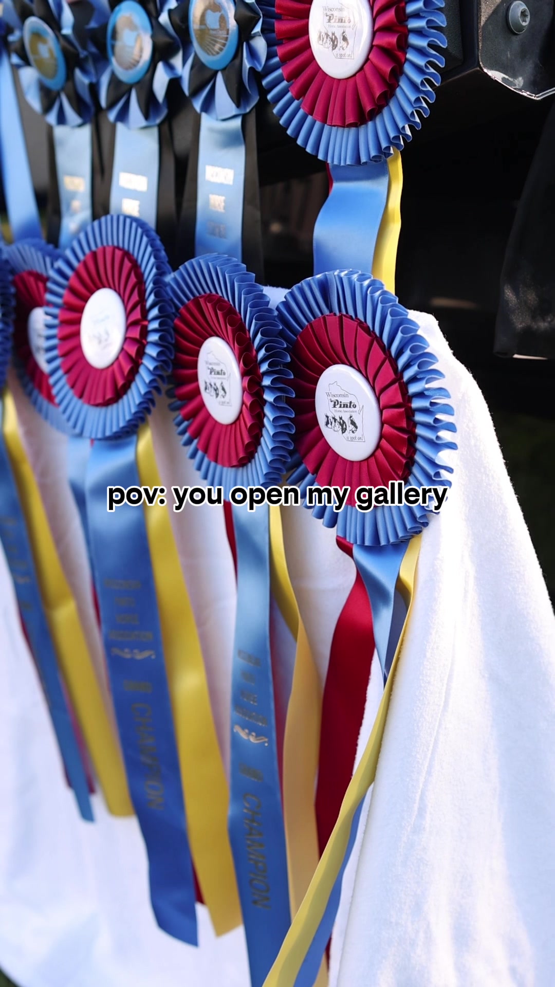 @Aubray | Equine Photographer