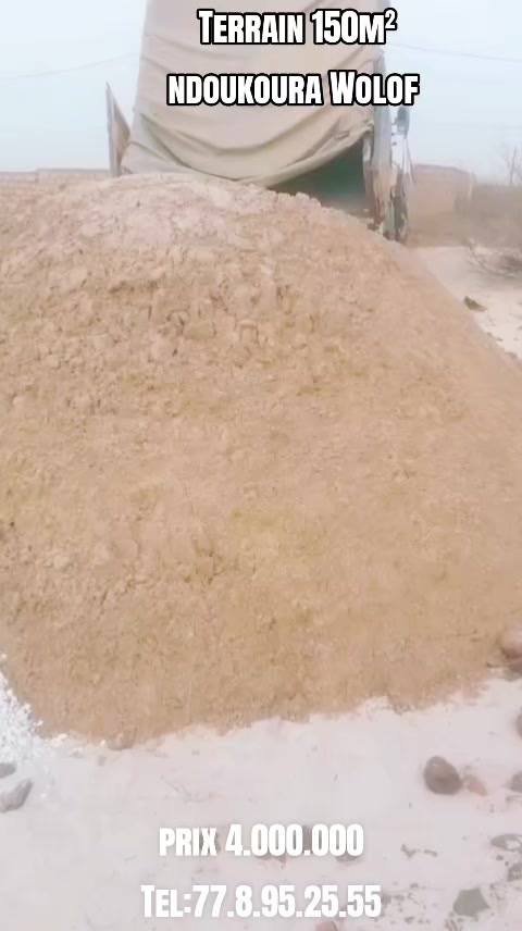 @S&eacute;n&eacute;gal dakar habitat 🇸🇳