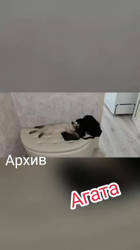 @poiuytrewq