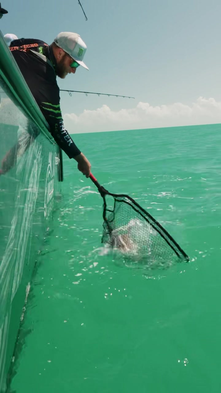 @TwoConchs