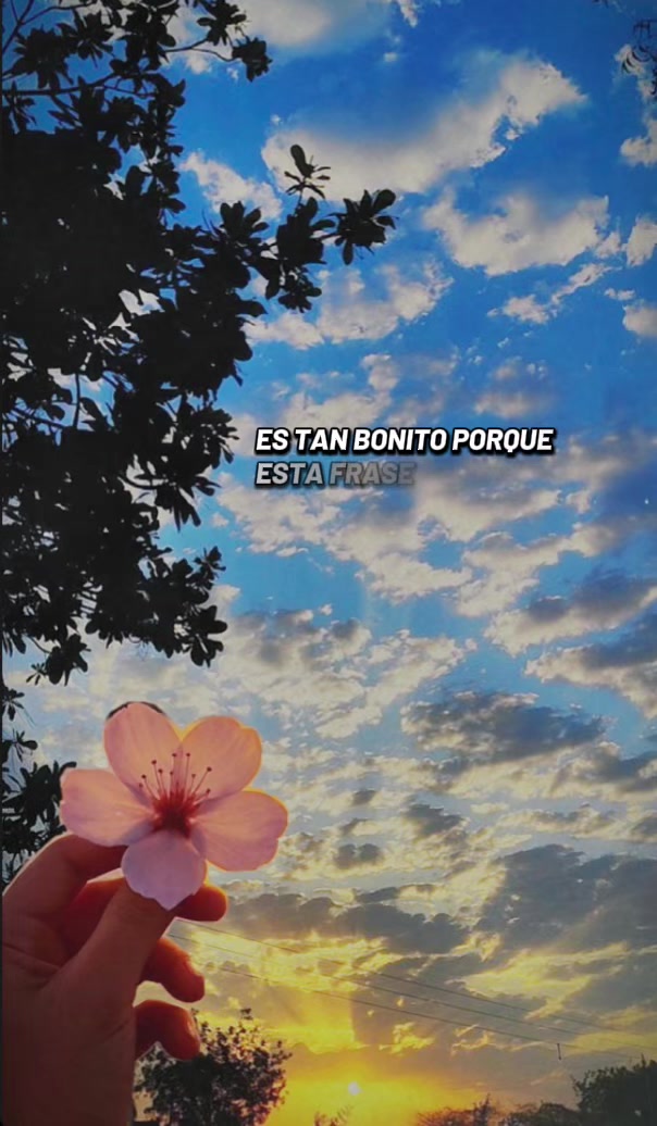 @𝓜𝓪𝓻𝓰𝓪𝓻𝓪.𝓞𝓯𝓲𝓬𝓲𝓪𝓵✨