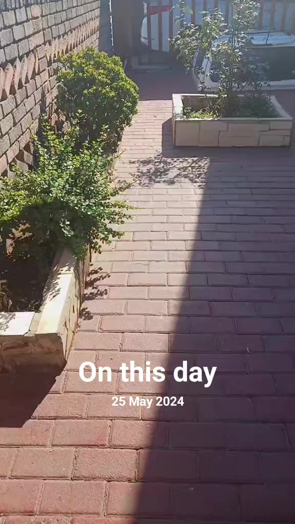 @Tebbles30