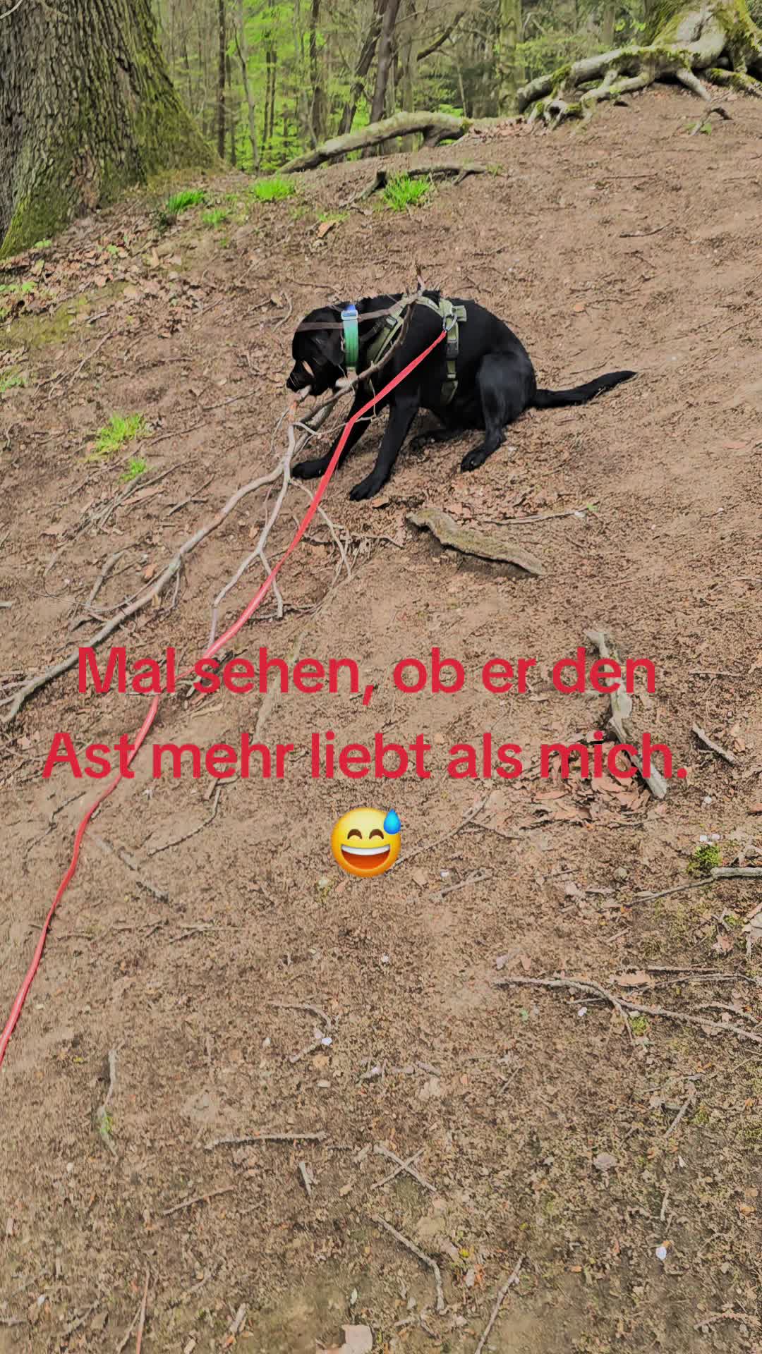 @AntonderBollerkopp