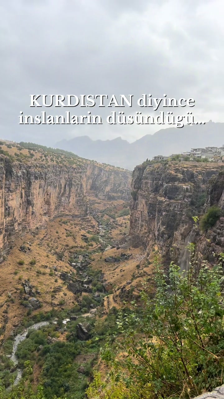 @kurde23_