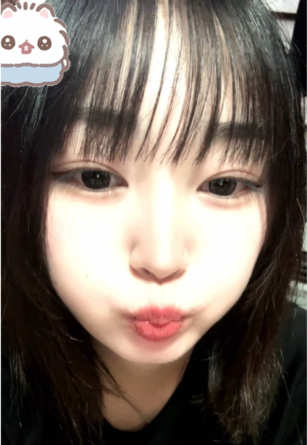 @0004yn6