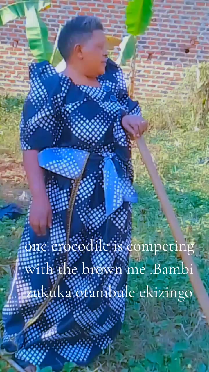 @amina 256
