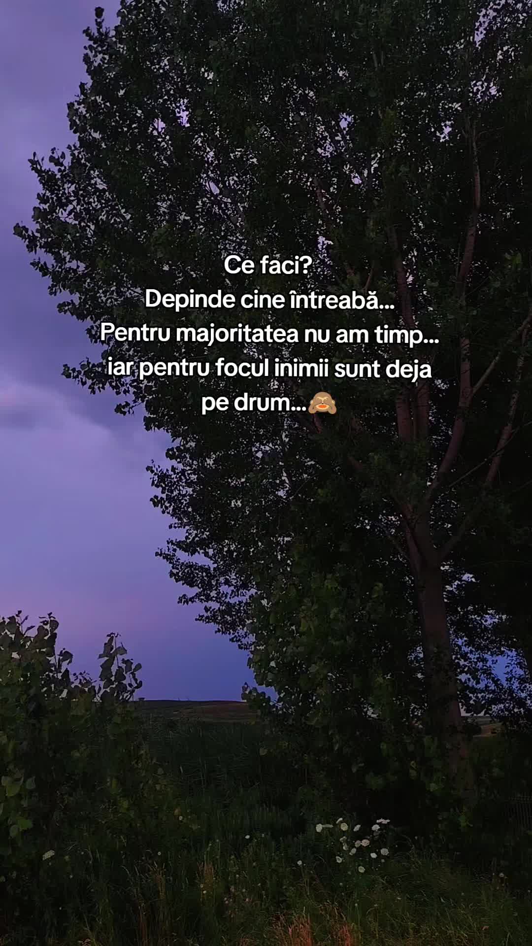 @12 ALM