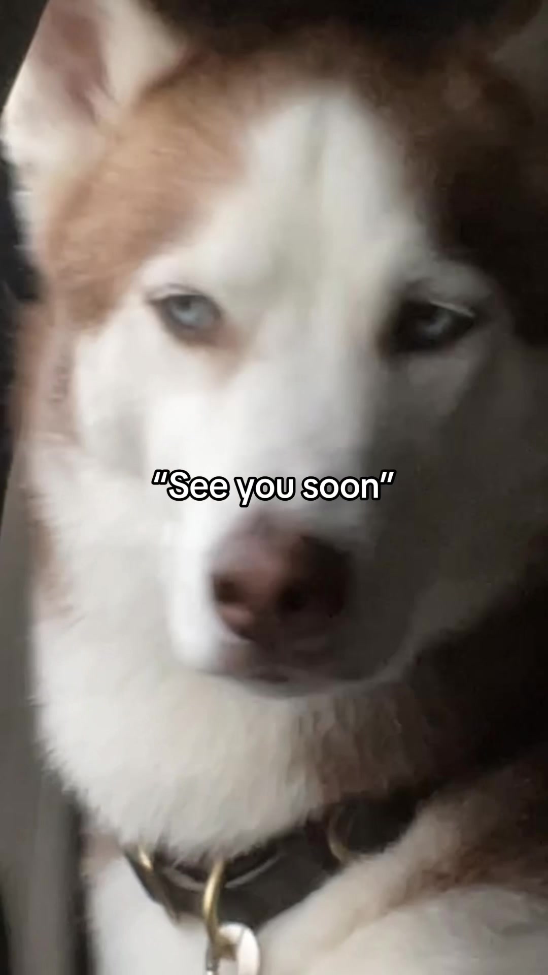 @Grover