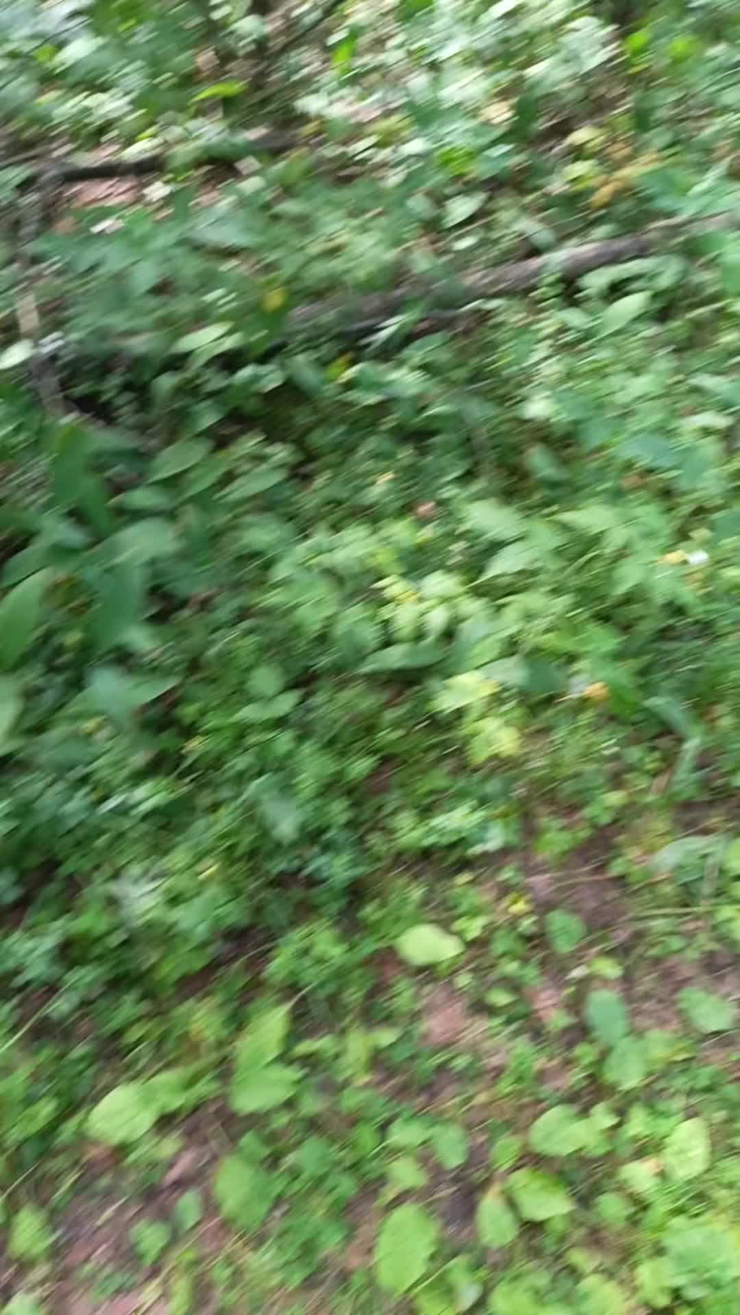 @мучачо