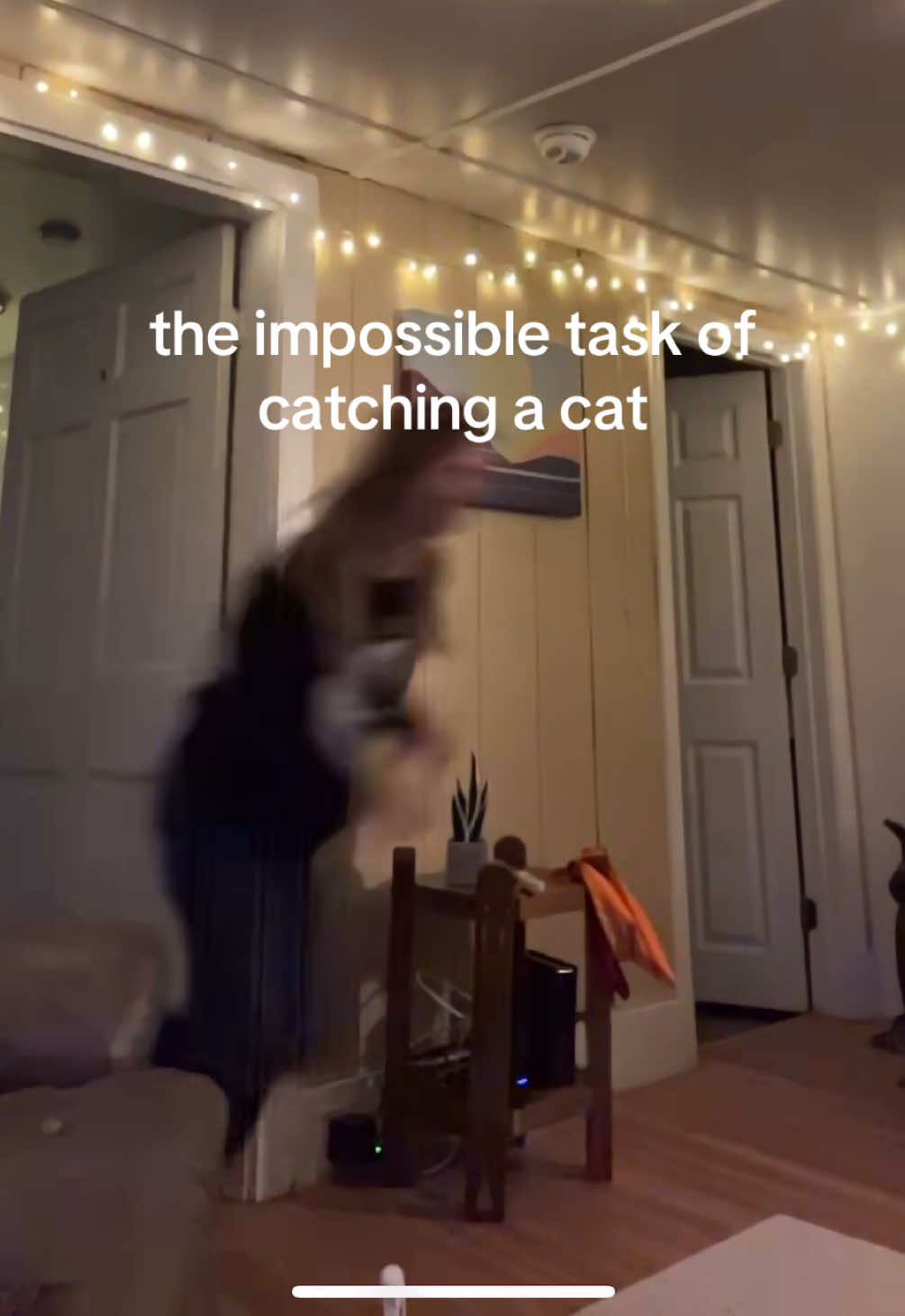 @Jess Appelbaum