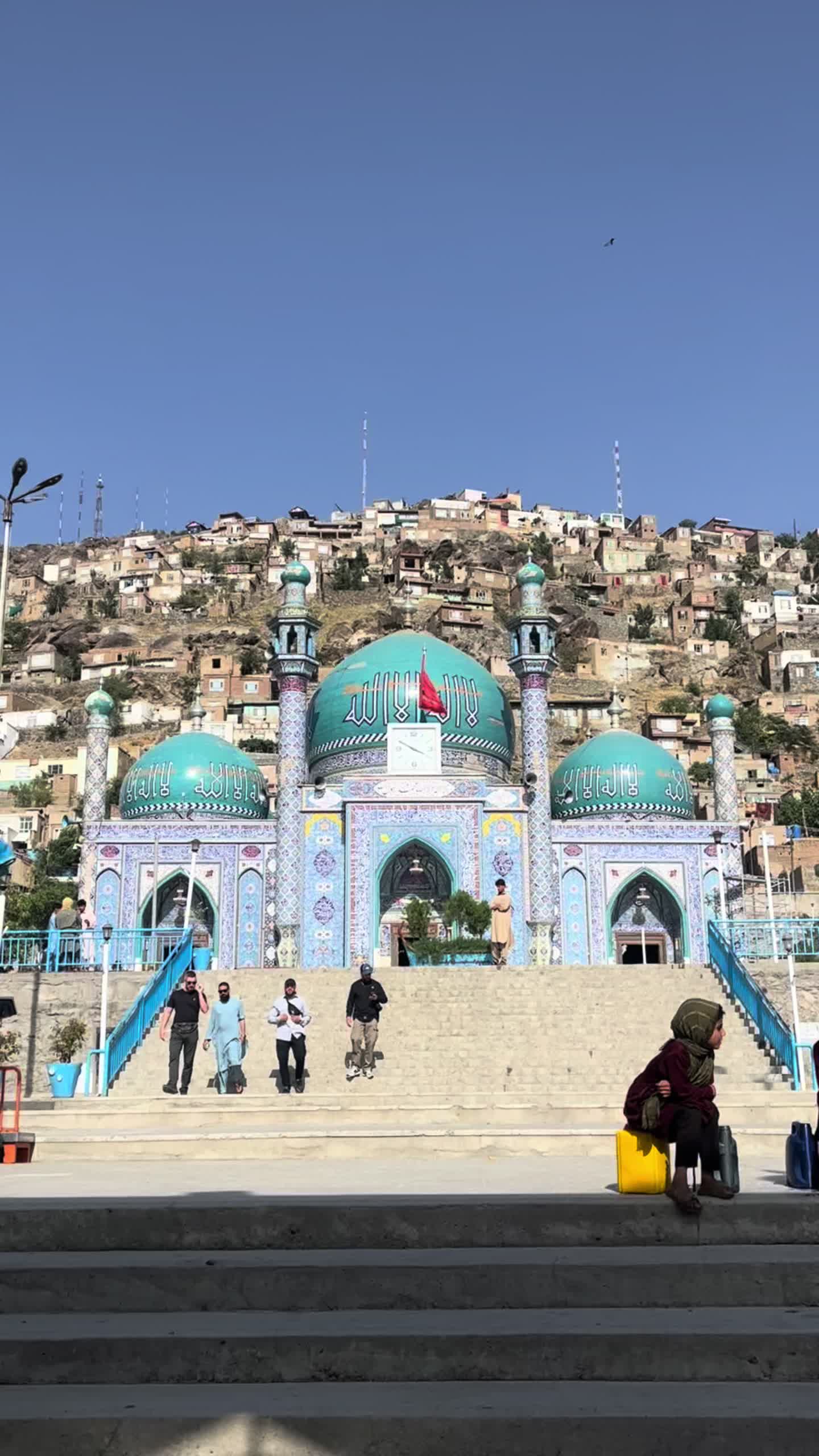 @Afghanimal