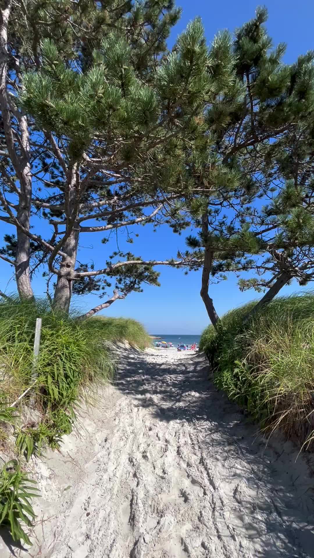 @bythenorthshore