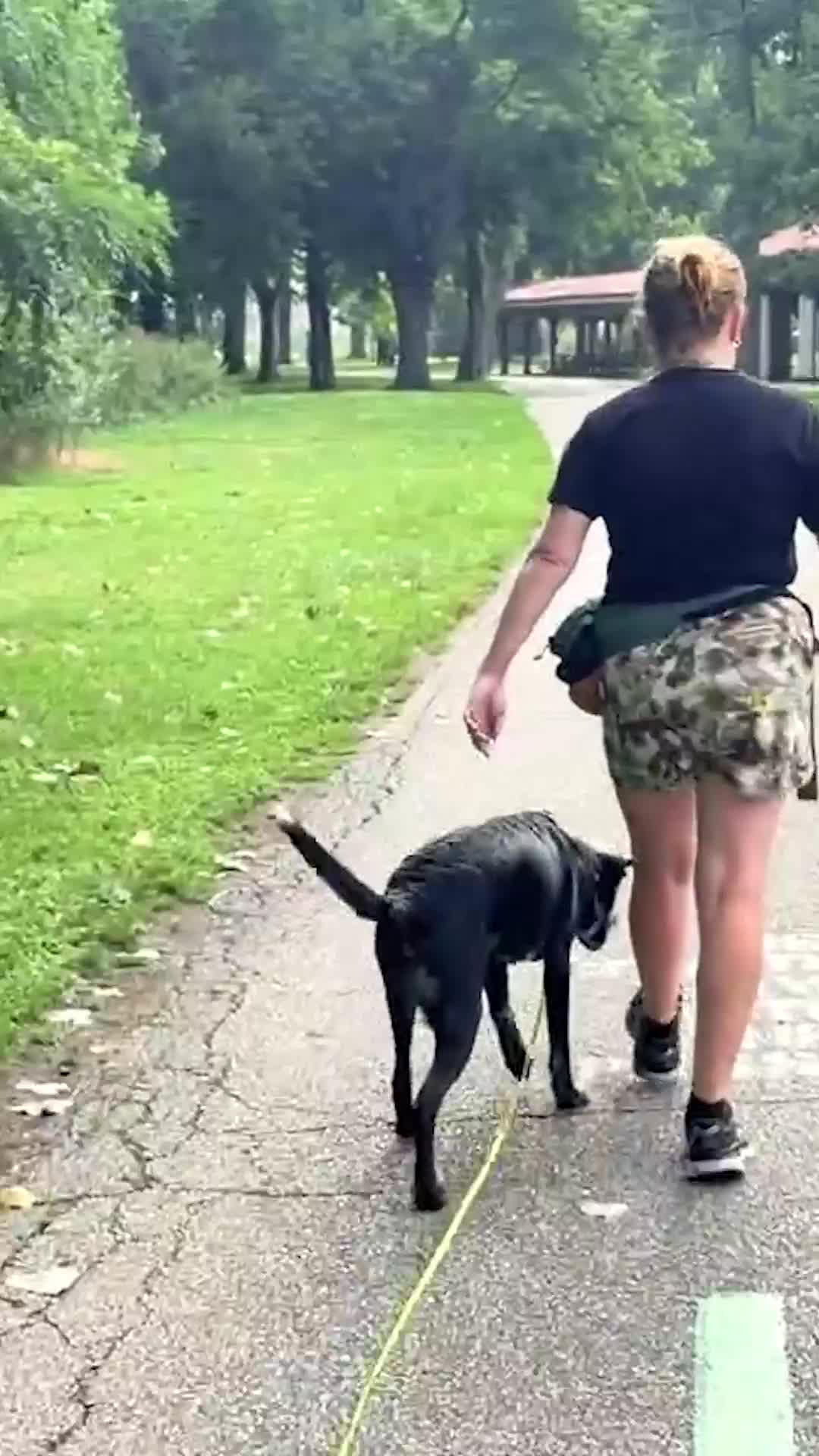 @Miracle K9 Training