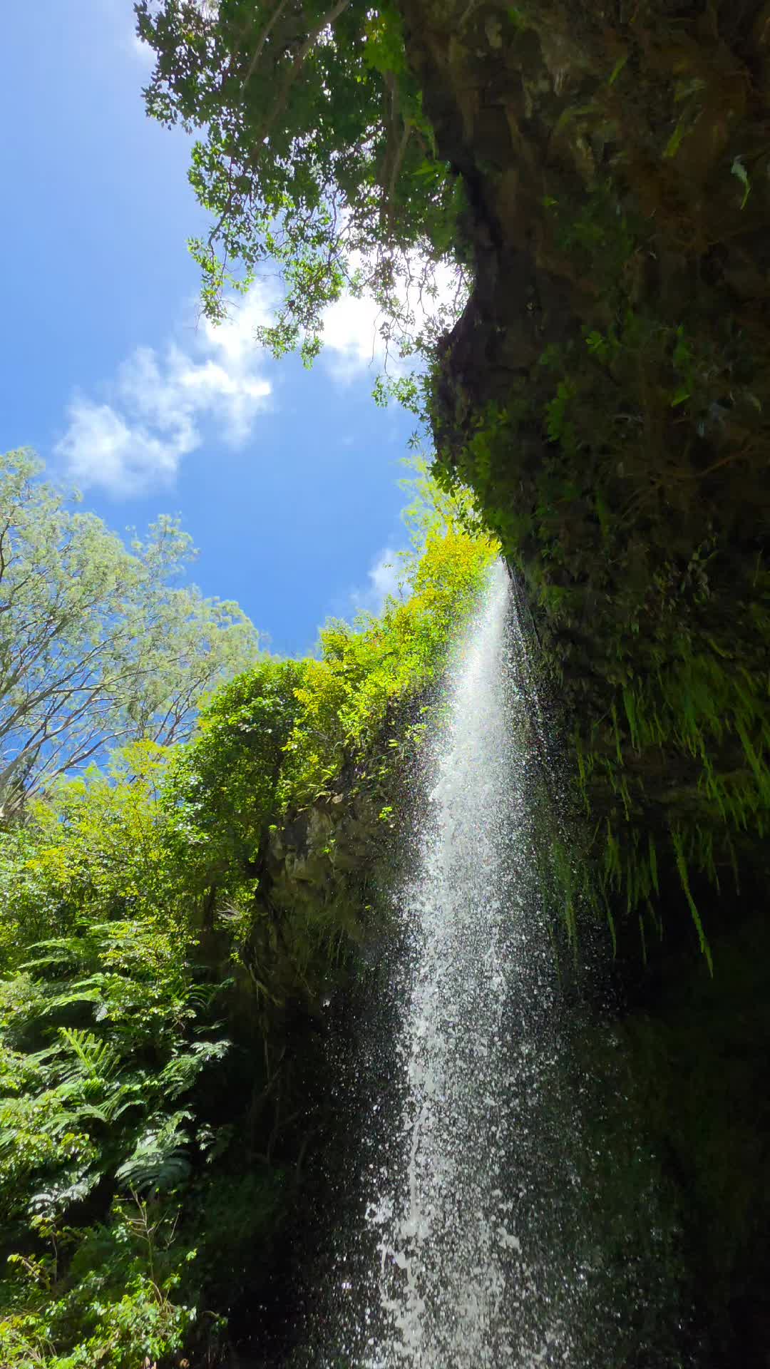 @Hike Maui