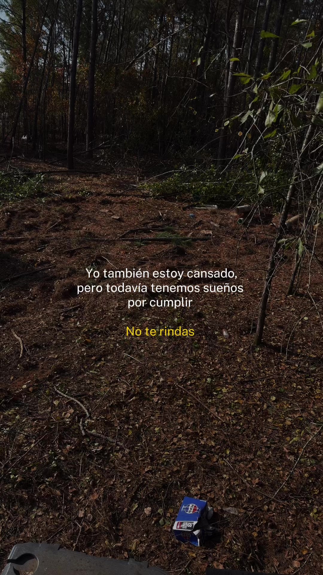 @Daniel Martinez