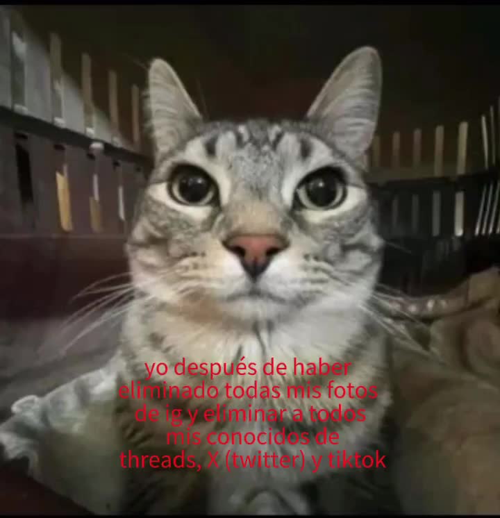 @𖤐٭*ᛟᛇᚽᚱᚽᛇ_Ꮤᛟᚳᚫ٭*𖤐