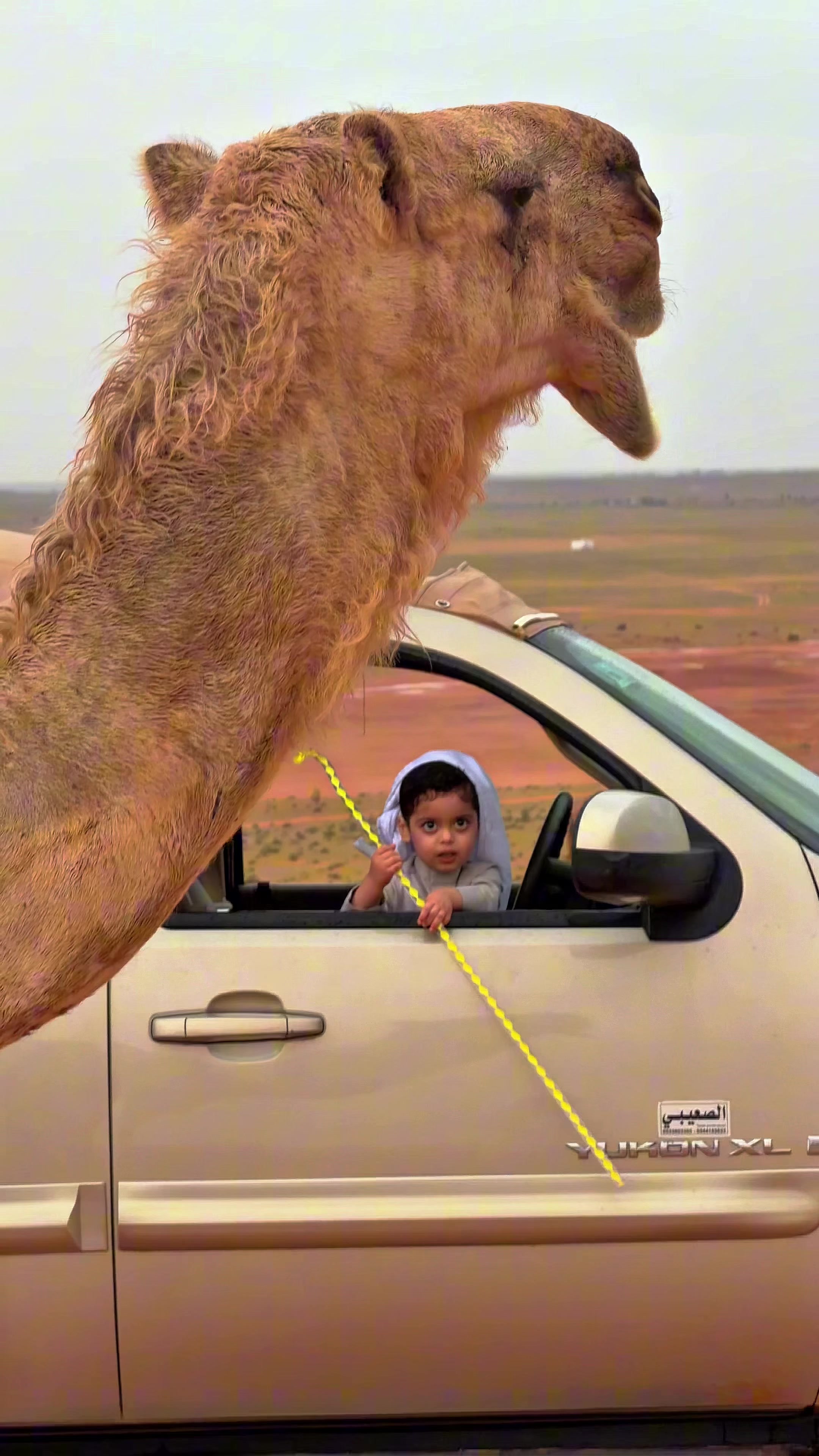 @جمهور غازي الذيابي