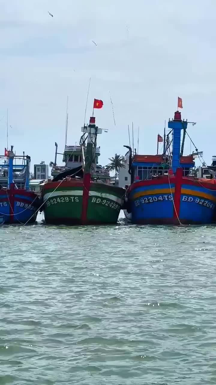 @𝙙𝙖𝙞𝙥𝙝𝙖𝙩 77
